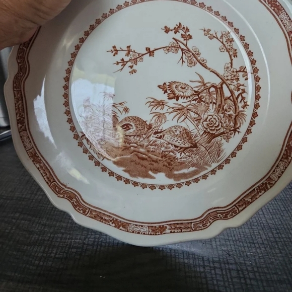 Vintage Furnivals Quail plates - Picture 3 of 3